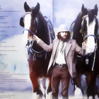 Jethro Tull - Heavy Horses (Steven Wilson Remix) 180 gram LP - pikkukuva 3