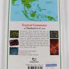 Carol Clark : Tropical Gemstones - pikkukuva 2