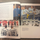 LEIJONIEN MITALIJUHLAA - JÄÄKIEKKO 1991-1994 - pikkukuva 3