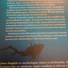 JESSICA HAAPKYLÄ: VALTAMERET JA ILMASTONMUUTOS - pikkukuva 2