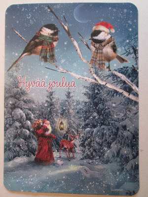 KULKEMATON JOULUPUKKI LYHDYN KANSSA JA VARPUSET OKSILLA