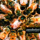 Paradise Lost : Believe in Nothing - CD - pikkukuva 1