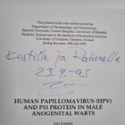 Jan Lassus : Human papillomavirus (HPV) and P53 protein i... - pikkukuva 3