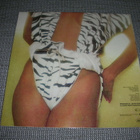 LP Diana Ross: Why do fools fall in love - pikkukuva 2
