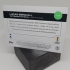 Lucas Bergvall : Rookie Card - 2024/25, Topps UEFA CL - pikkukuva 2