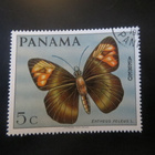 Panama: perhosia - pikkukuva 4