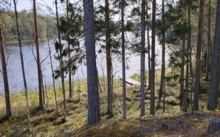 Vuokrarantatontti,+höylähirsisauna Tammela H;ki 114 km