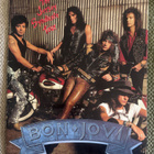 KIERTUEKIRJA: BON JOVI THE JERSEY SYNDICATE TOUR (SE HARVINA - pikkukuva 1