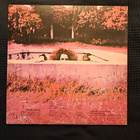 Frank Zappa Hot Rats LP - pikkukuva 2