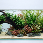 Uniikki akvaariojuurakko 55 cm | P342623 - pikkukuva 5