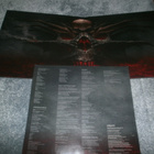 Frantic Amber: Burning Insight Lp - pikkukuva 3