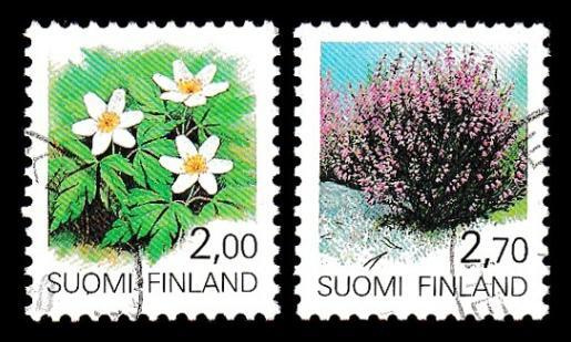 1097-8 o Valkovuokko ja kanerva (1990)