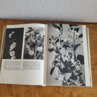 F. A. Novák – Maapallon kasvikuvasto 1966, 1. painos - pikkukuva 5