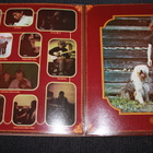 Mother Earth - Make A Joyful Noise LP 1969 - pikkukuva 3