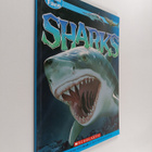 Stephen Savage : Sharks - pikkukuva 1