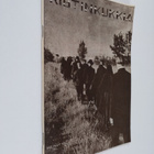 Ristinkukkia - pikkukuva 1