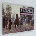 Kit Houghton : Horses - pikkukuva 1