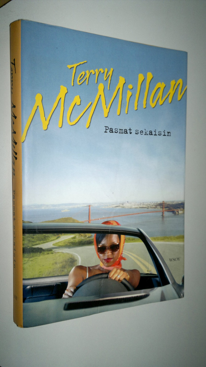 Terry McMillan : Pasmat sekaisin