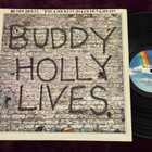 Buddy Holly – 20 Golden Greats (LP) - pikkukuva 1