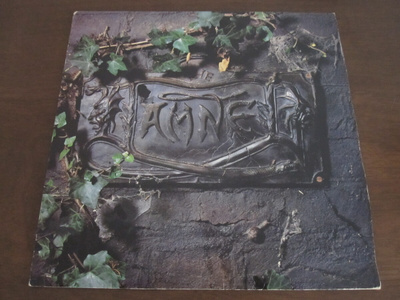 the DAMNED  the black album 2-LP