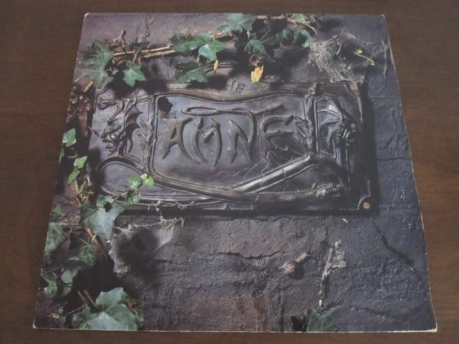 the DAMNED  the black album 2-LP