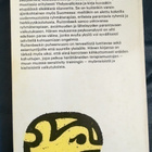 Hendrik M. Ruitenbeek: Parantavat ryhmät (1.p.) - pikkukuva 2