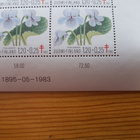 Postimerkkiarkki Tuberkuloosi 1983 Kukkia - 1,20 + 0,25m - pikkukuva 3