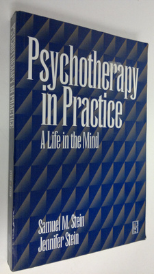 Samuel M. Stein : Psychotherapy in practice : a life in t...