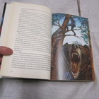 Stephen King: Musta torni III - Joutomaa (2005) - pikkukuva 3