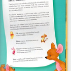LUONTOKIRJA °°Vuodenajat°° NALLE PUH / Disney - pikkukuva 2