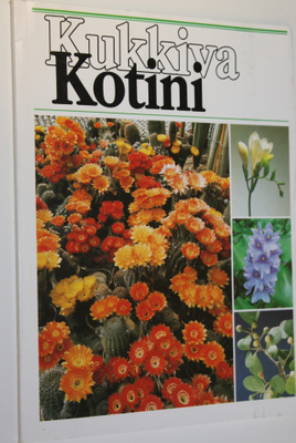Kukkiva kotini 16/1986