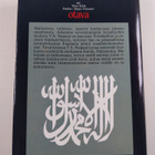 V. S. Naipaul : Matka islamin maailmaan - pikkukuva 2