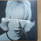 RED AUNTS : Saltbox LP (Punk) - pikkukuva 1