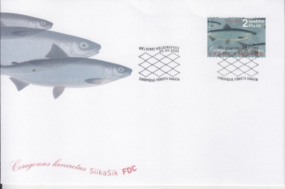 FDC 2000 2 lk Siika