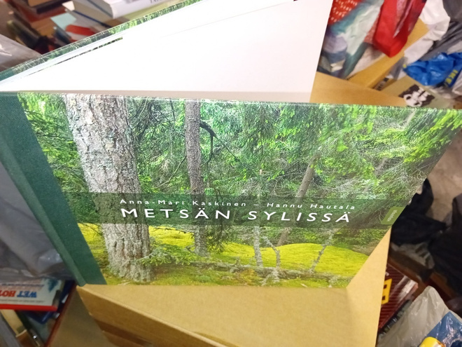 Kaskinen  - Hautala : Metsän sylissä ( SIS POSTIKULU )