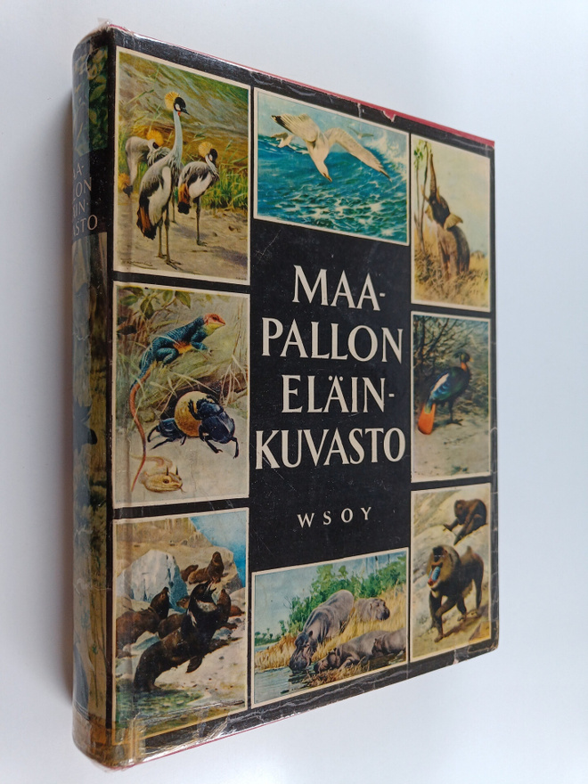 Maapallon eläinkuvasto