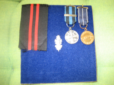 Veteraanin Pienoiskunniamerkit