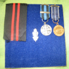 Veteraanin Pienoiskunniamerkit - pikkukuva 1