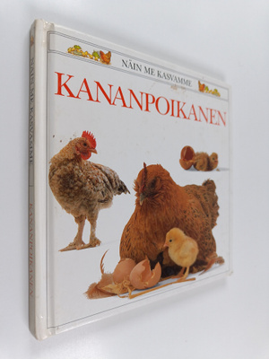 Jane Burton : Kananpoikanen