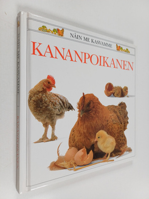 Jane Burton : Kananpoikanen