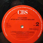 Cock Robin – After Here Through Midland - pikkukuva 5
