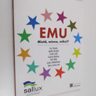 EMU : mistä, minne, miksi? - pikkukuva 1