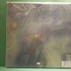 POLARSOUL - FOREVER M-/M- LP - pikkukuva 2