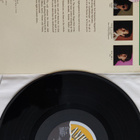 Pushtwangers : Don't Be Afraid ! Vinyyli lp - pikkukuva 2