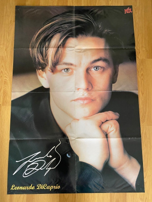 Leonardo DiCaprio juliste