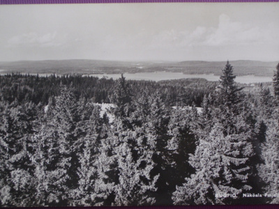 Kuopio näköala Puijolta VANHA