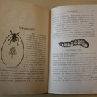 Piirteitä eläinten elämästä II 1.p v.1904 (sid.) - pikkukuva 2