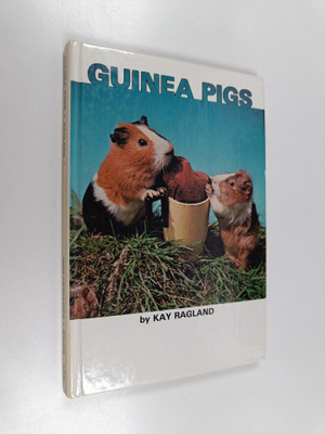 Kay Ragland : Guinea Pigs