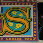 STEPPENWOLF ~ For Ladies Only ~ LP ABC/Dunhill USA - pikkukuva 1