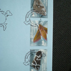 FDC Yöperhosia 1. lk 09.05.2008 - LaPe 1897-1899 - pikkukuva 2